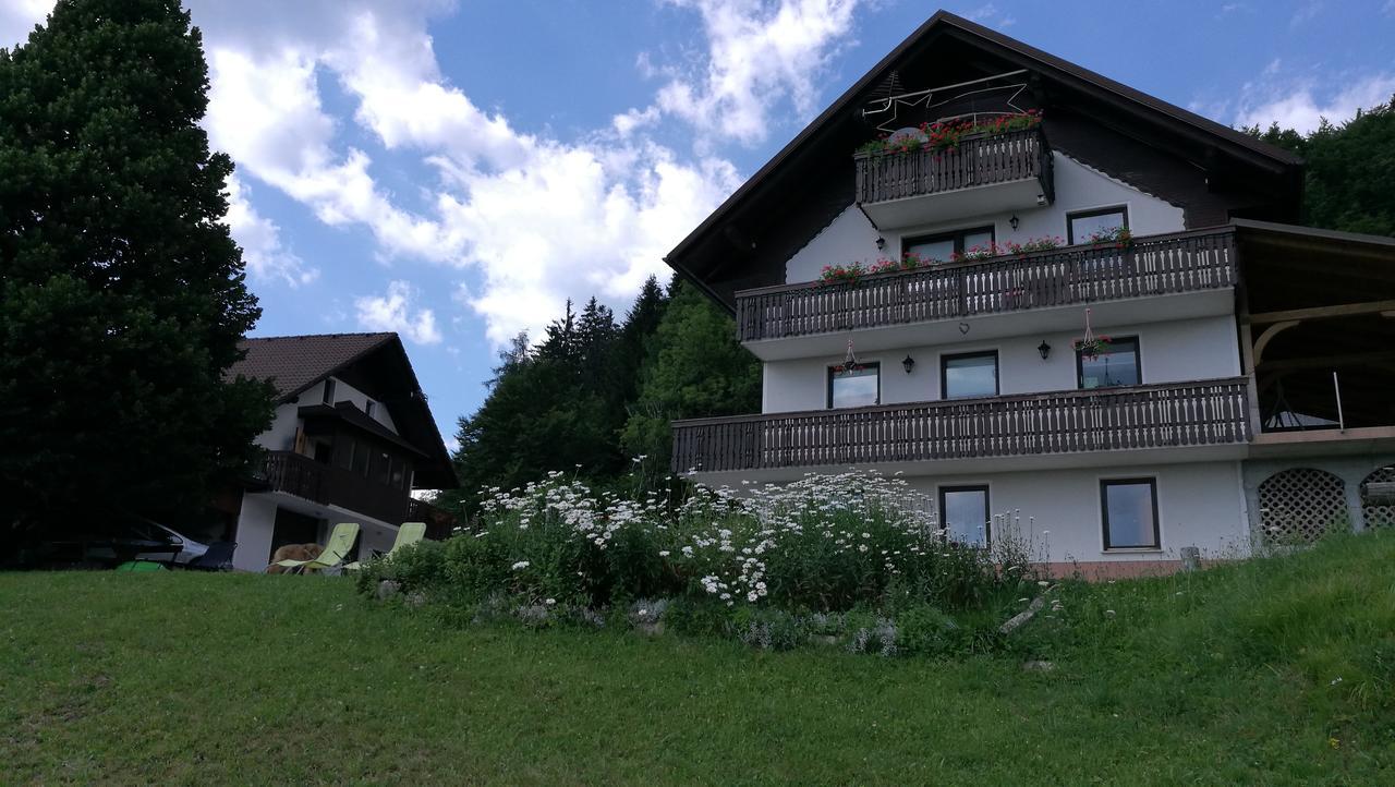 Domacija Za Robom Apartment Cerkno Exterior photo